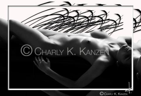  (c) 
		charly k. kanzen